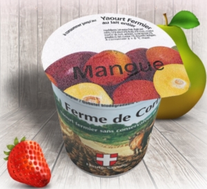 Livraison Yaourt mangue 180g